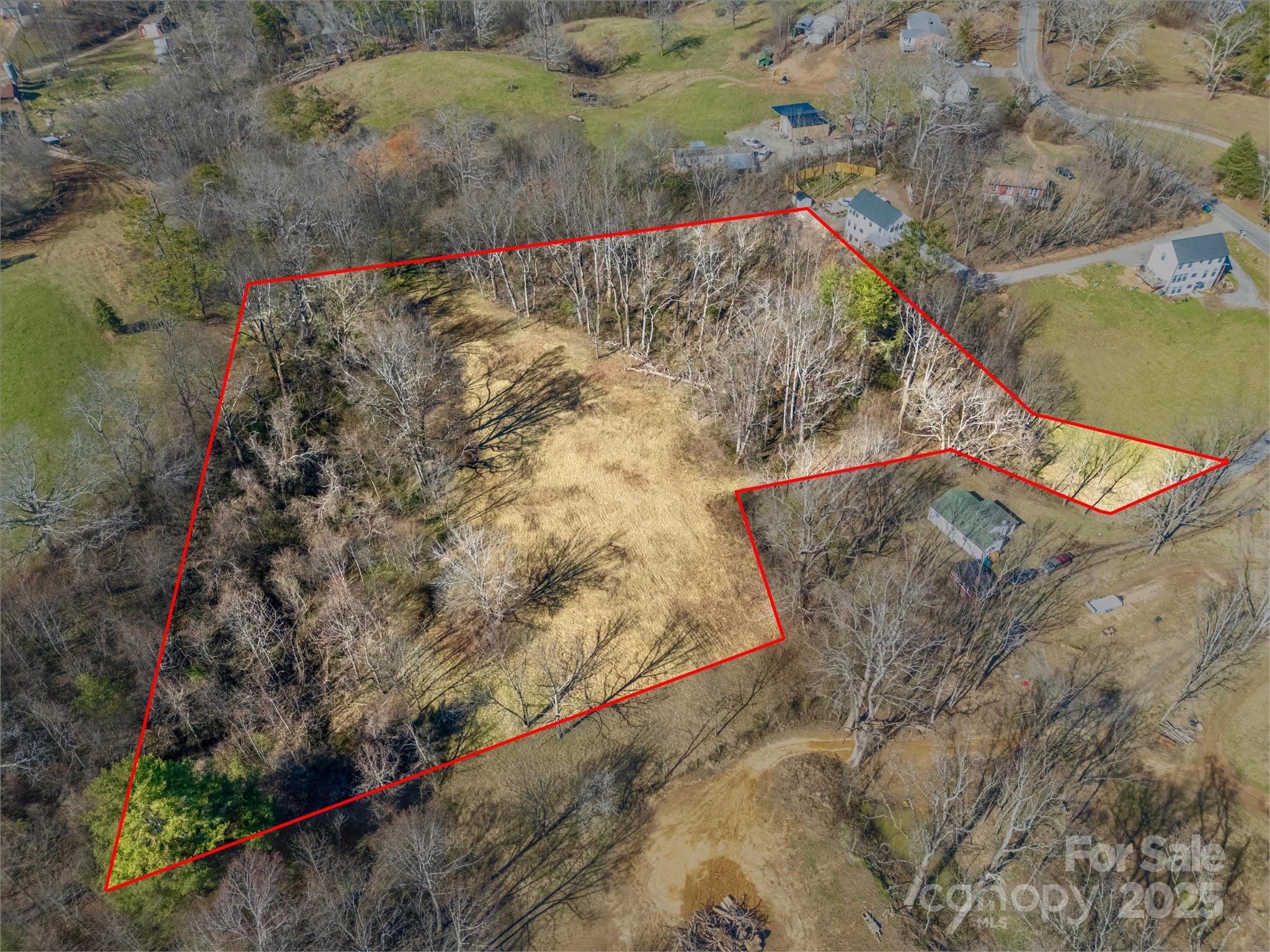 99999 Burney Mountain Road Fletcher, NC 28732 - Photo 12 of 36