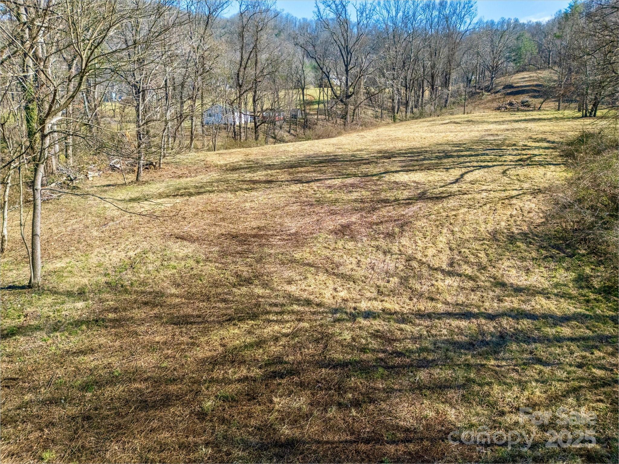 99999 Burney Mountain Road Fletcher, NC 28732 - Photo 13 of 36 a view of road view with residential houses