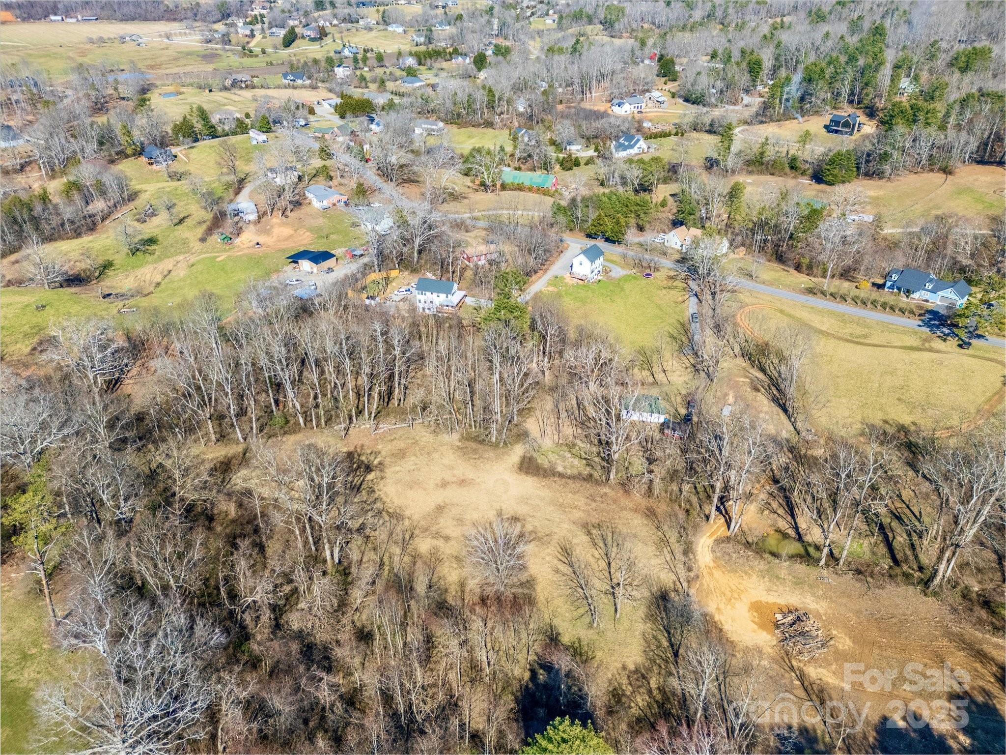 99999 Burney Mountain Road Fletcher, NC 28732 - Photo 20 of 36 a view of a yard with trees