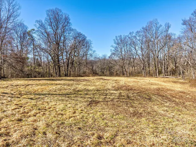 a view of empty space with large trees