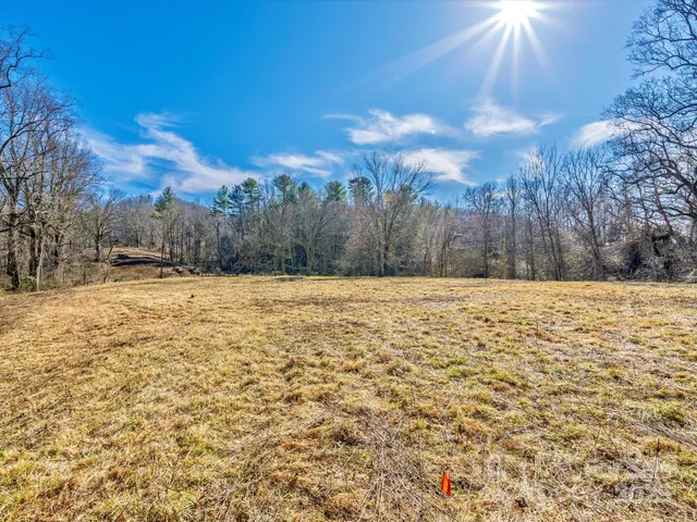a view of outdoor space with trees