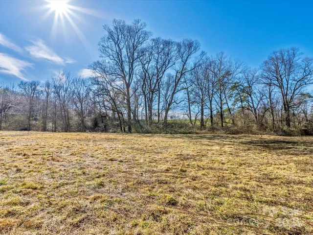 a view of a yard with trees in the background