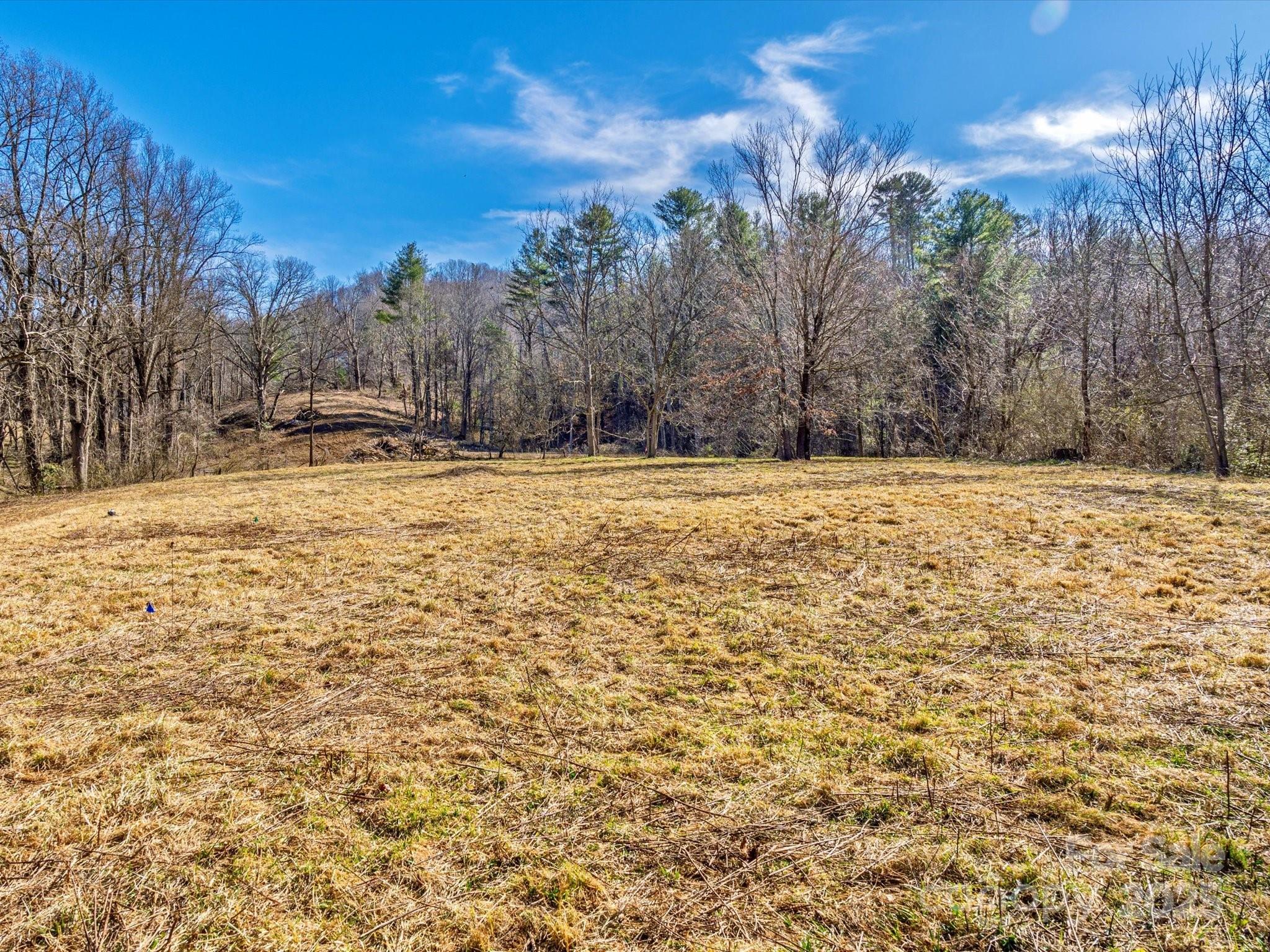99999 Burney Mountain Road Fletcher, NC 28732 - Photo 28 of 36 a view of a yard with trees in the background