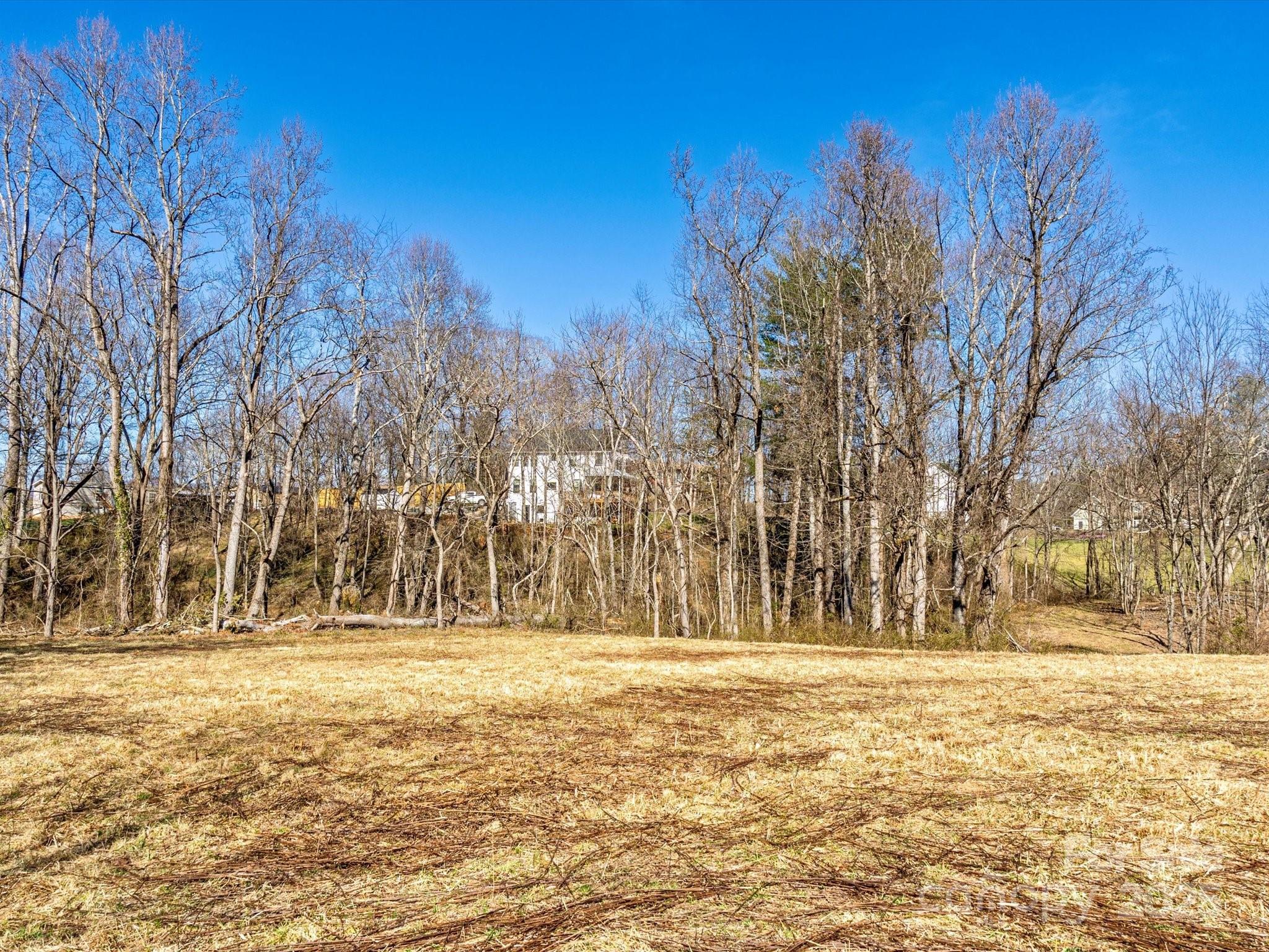 99999 Burney Mountain Road Fletcher, NC 28732 - Photo 29 of 36 a view of outdoor space with trees