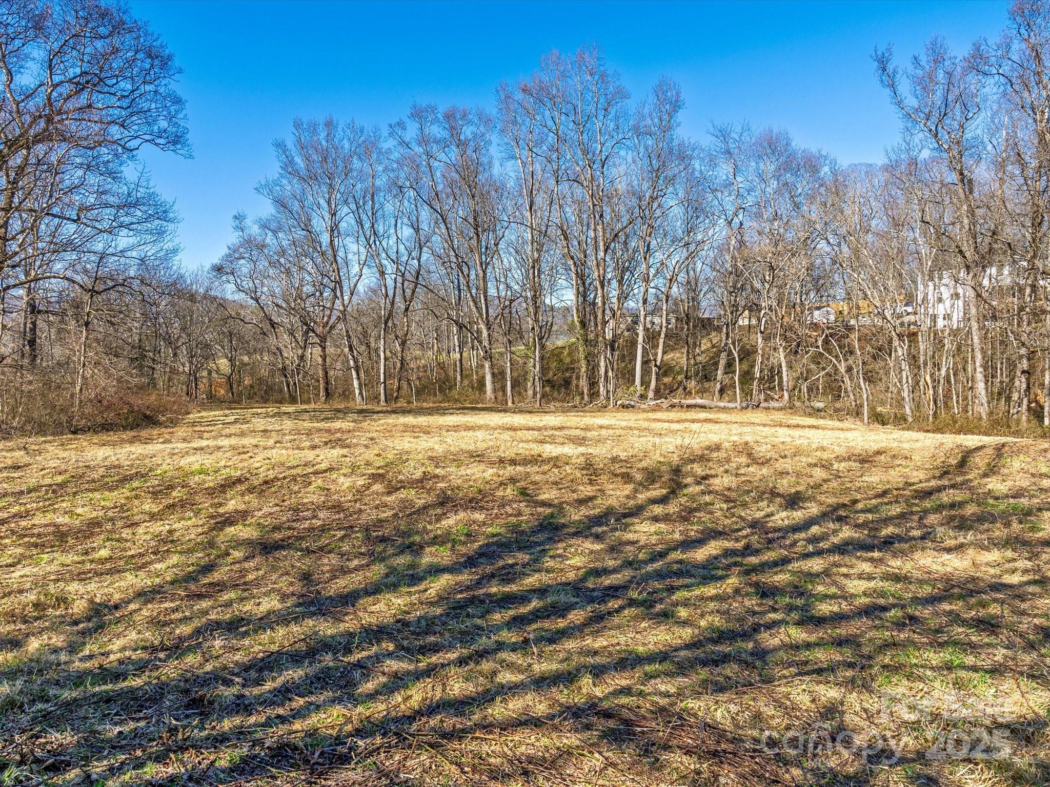 99999 Burney Mountain Road Fletcher, NC 28732 - Photo 30 of 36 a view of outdoor space with trees