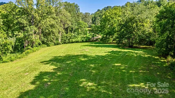 a view of a big yard with large trees