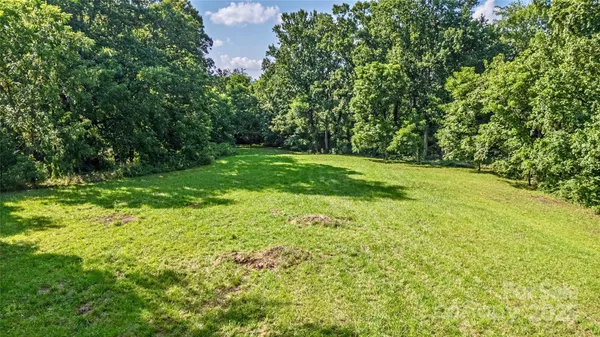 a view of a trees with a yard