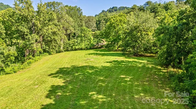 a view of yard with swimming pool and green space