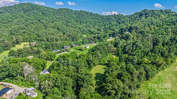 a view of a lush green forest