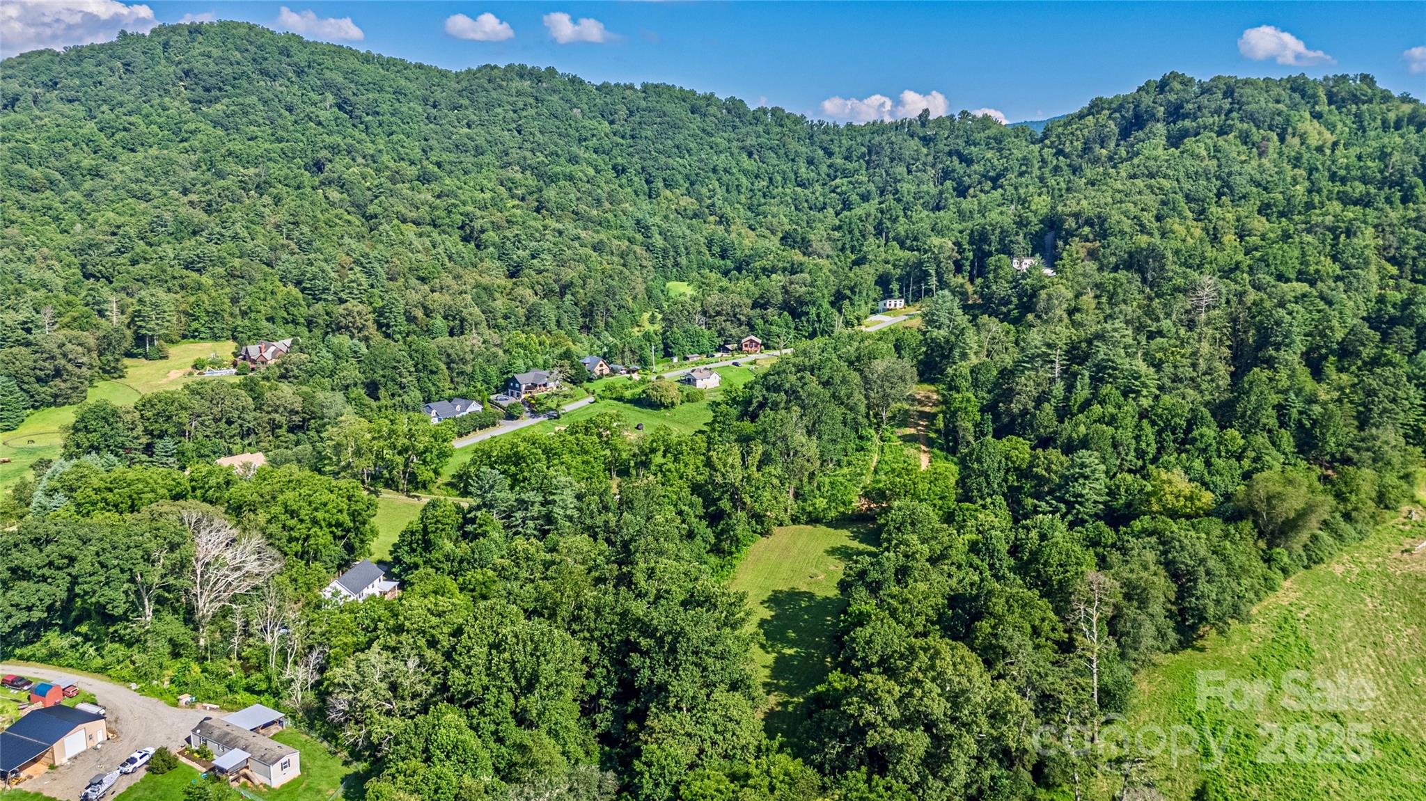 99999 Burney Mountain Road Fletcher, NC 28732 - Photo 10 of 36 a view of a lush green forest