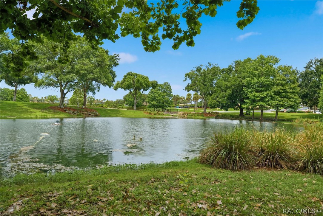 1672 West Spring Meadow Loop Lecanto, FL 34461 - Photo 4 of 42