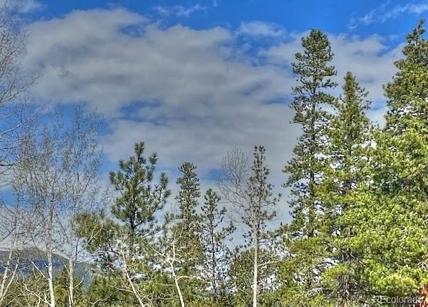 233 Renaud Road Bailey, CO 80421 - Photo 10 of 12 unknown