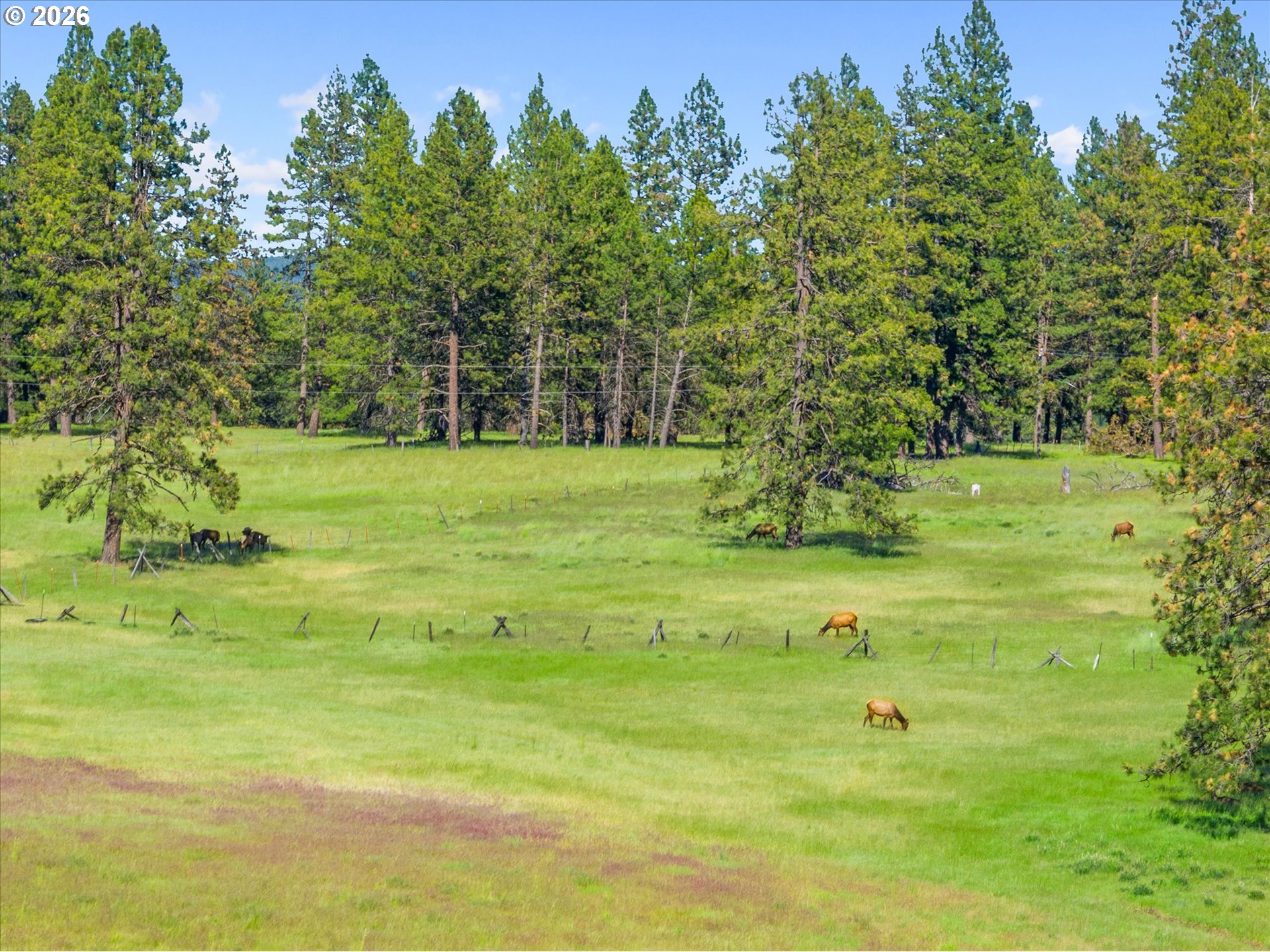 76545 Palmer Junction Road Elgin, OR 97827 - Photo 23 of 48 Gallery Image 23