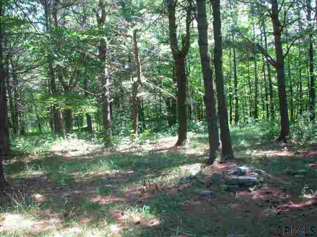 520 Travis Hill Road Rensselaerville, NY 12469 - Photo 8 of 15 Photo 8