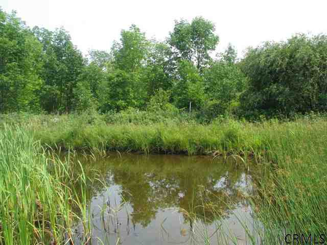 520 Travis Hill Road Rensselaerville, NY 12469 - Photo 10 of 15 Photo 10