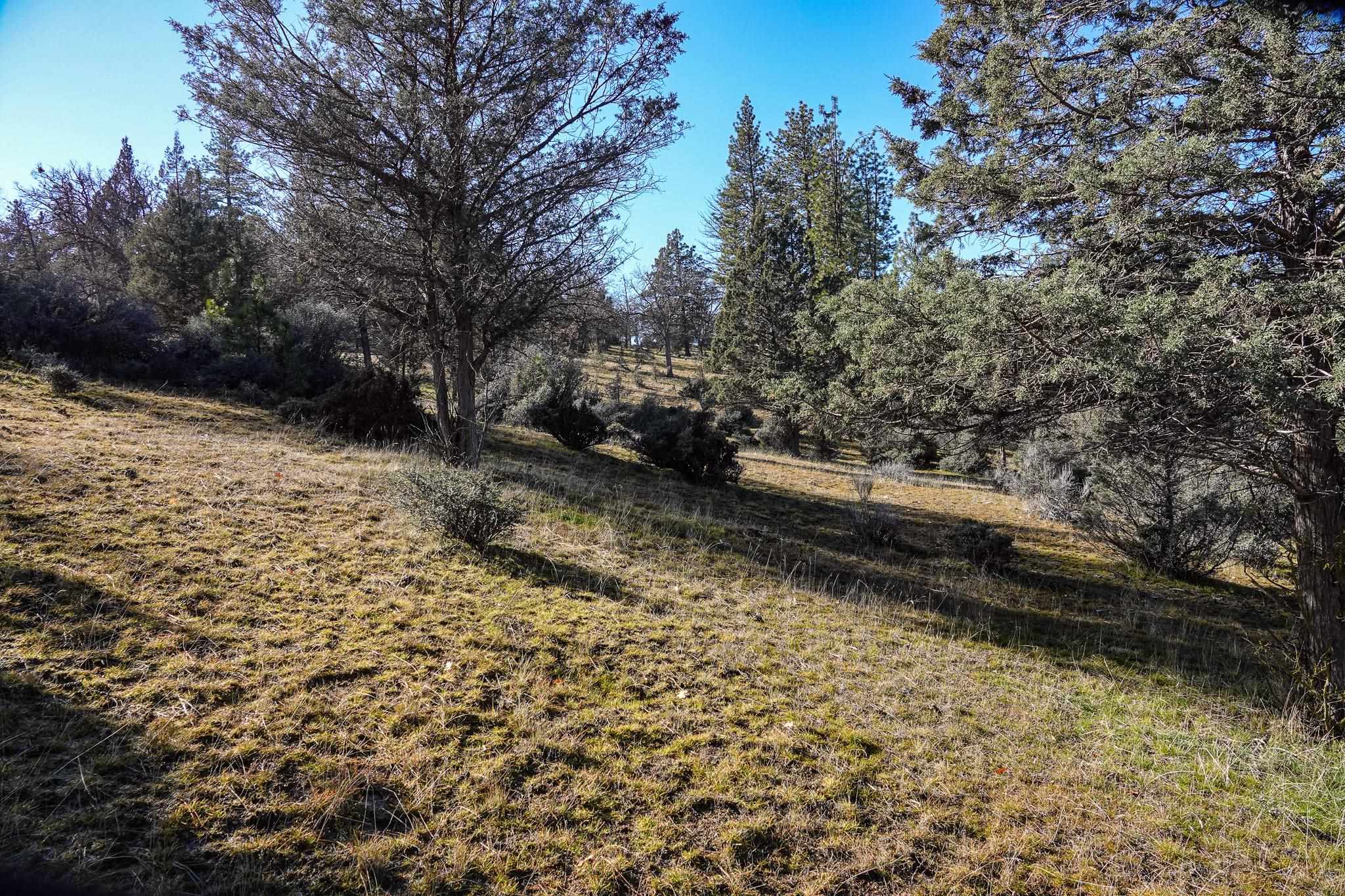 0 Scarface Road Fort Jones, CA 96032 - Photo 22 of 35 Gallery Image 22