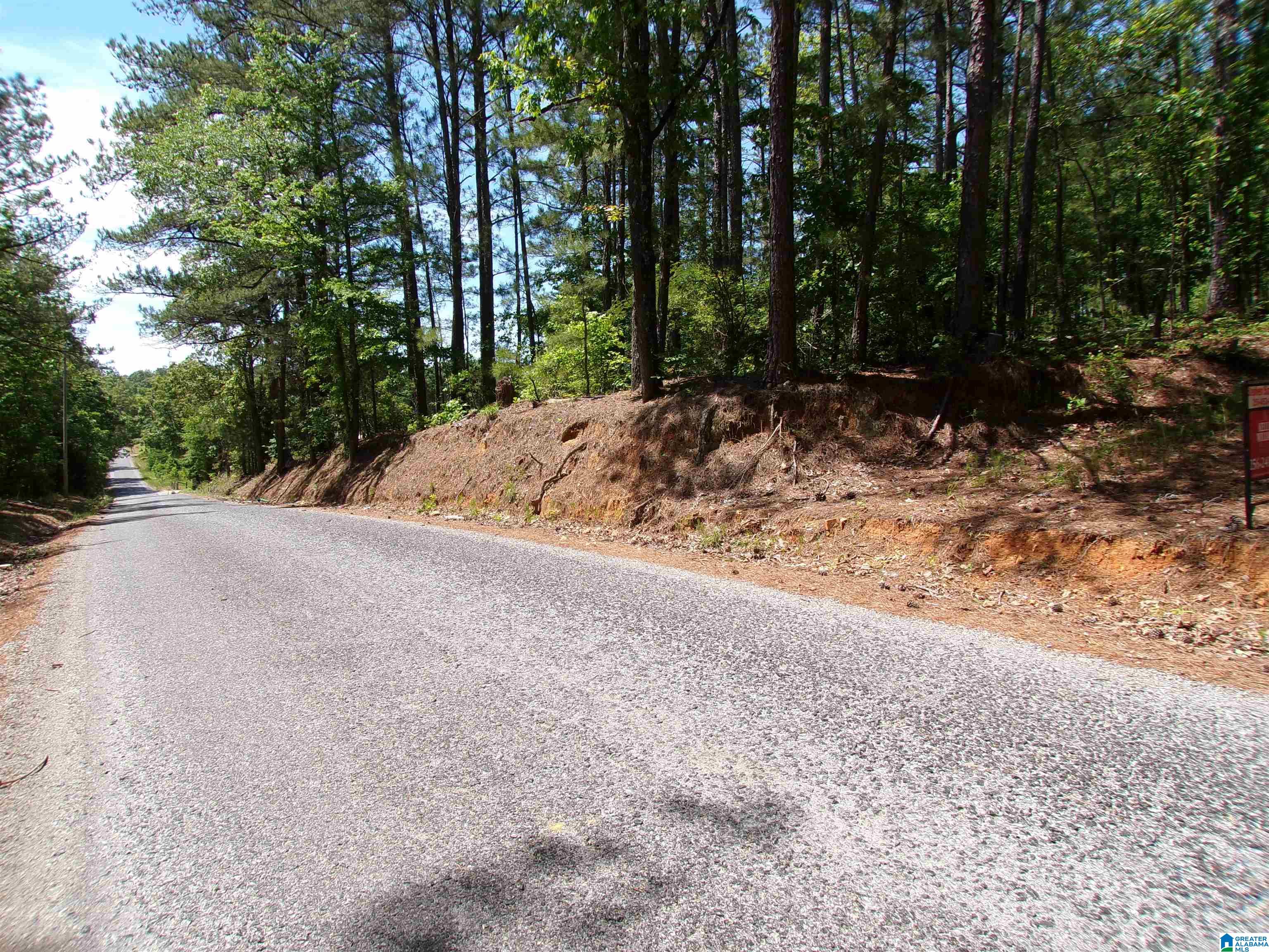 1 St Mary Road South, Unit 1 Lincoln, AL 35096 - Photo 20 of 23