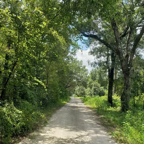 a view of a yard with a tree