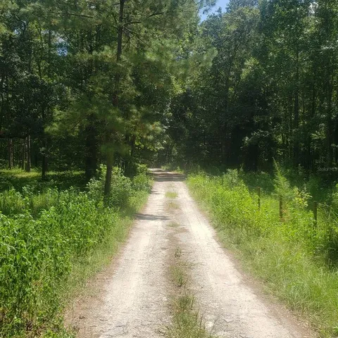 a view of street with a yard