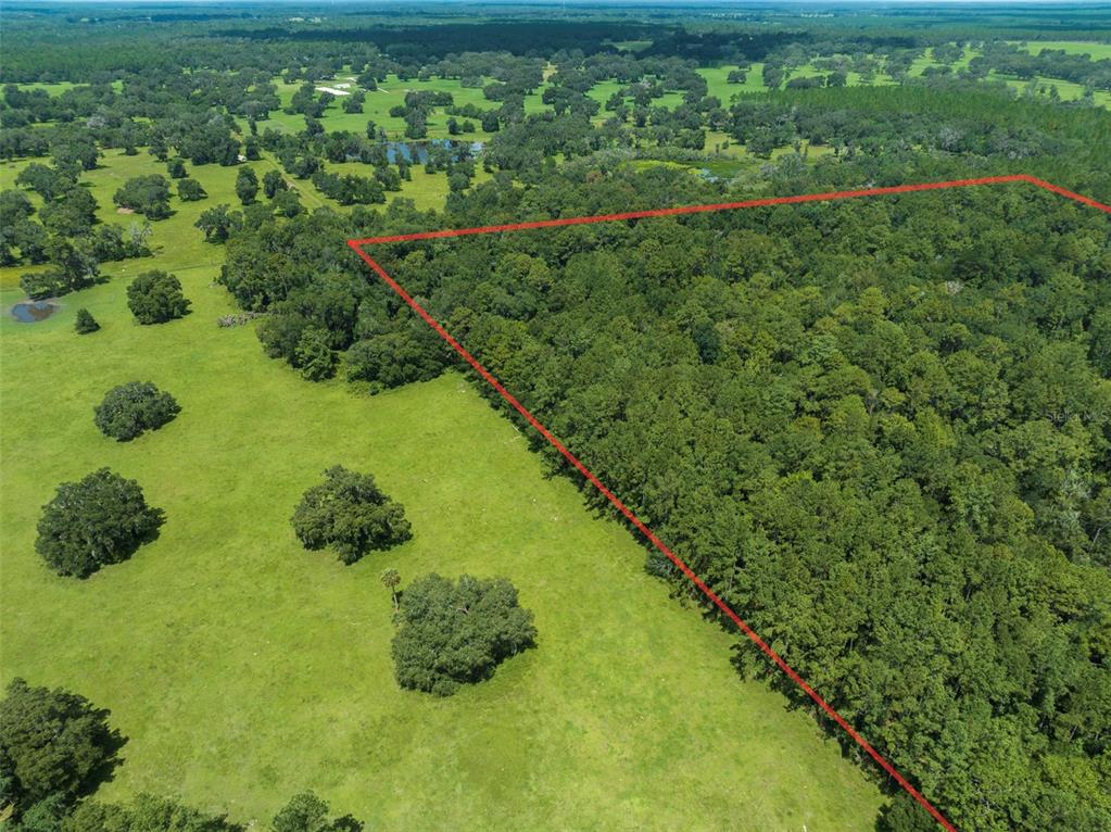 Northwest 115th Avenue Reddick, FL 32686 - Photo 6 of 7 a view of a garden in a backyard