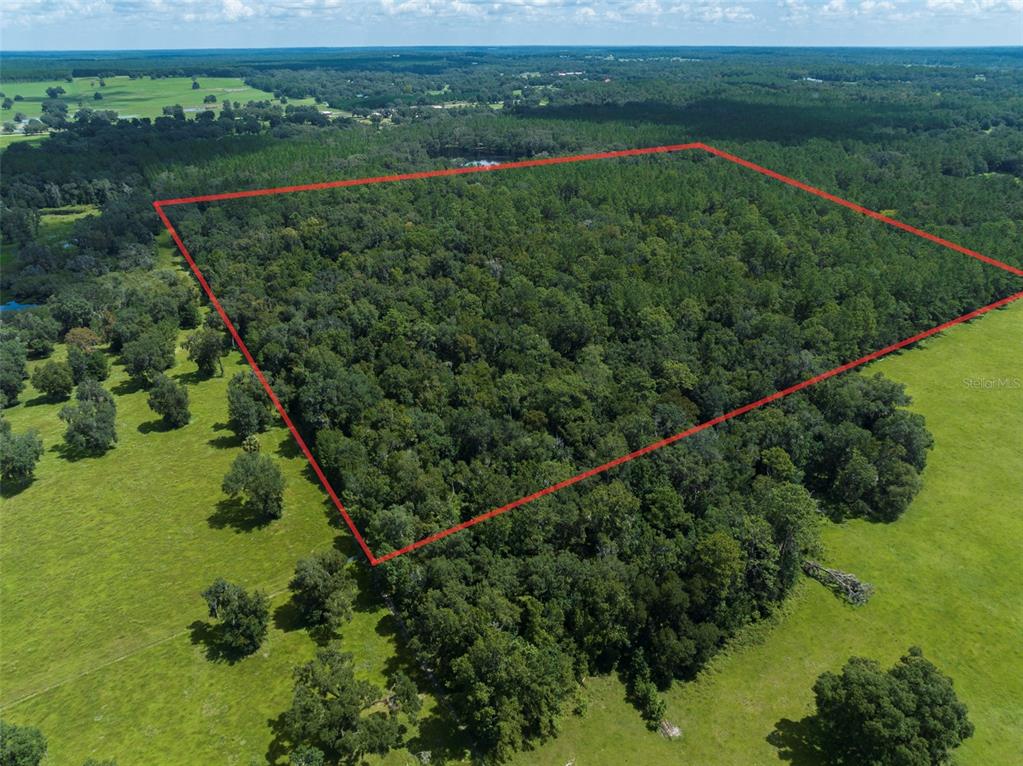 Northwest 115th Avenue Reddick, FL 32686 - Photo 7 of 7 a view of a green field with a lake