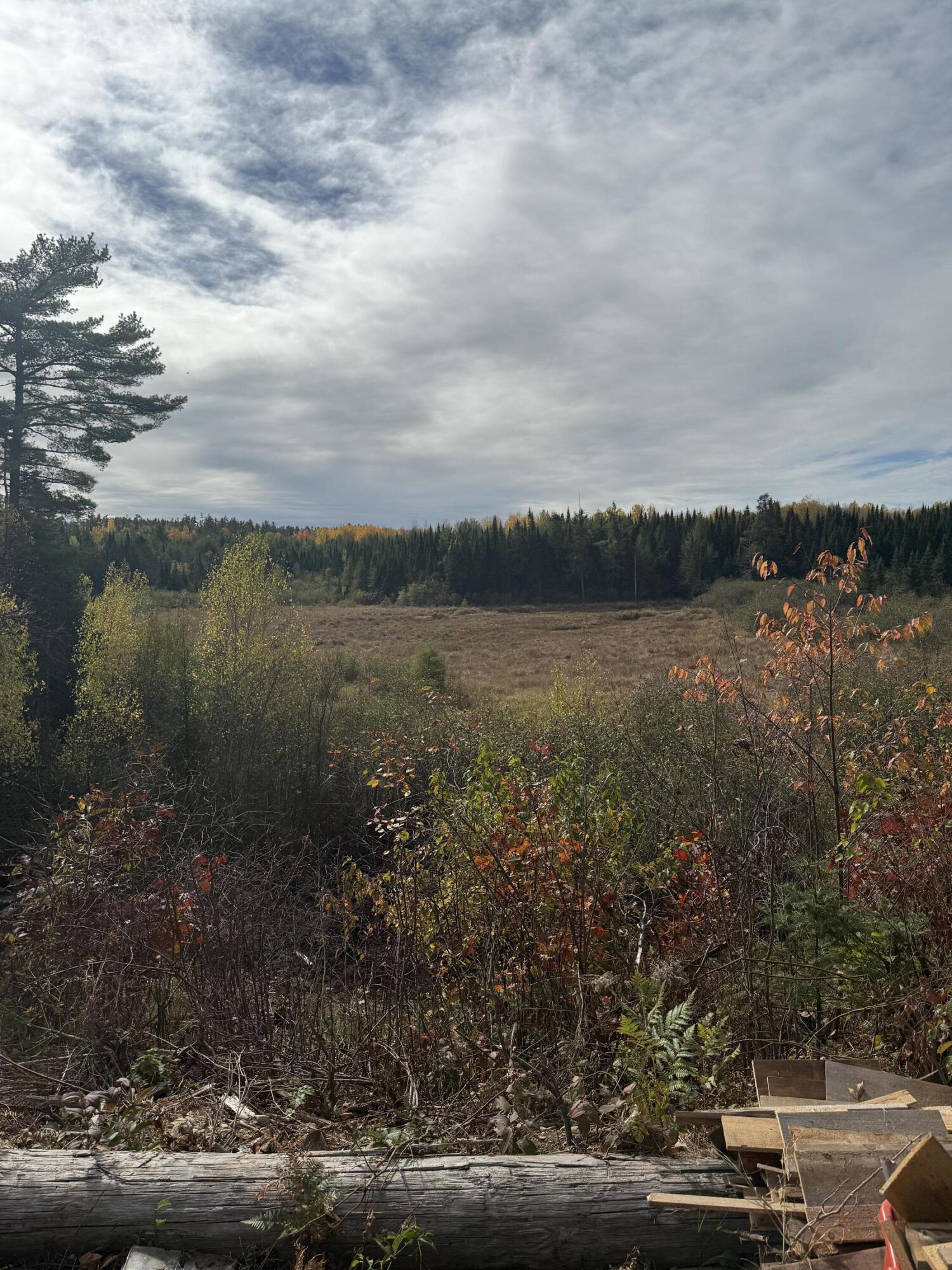 0 Bradbury Brook Road Clifton, ME 04428 - Photo 16 of 37 IMG_1385