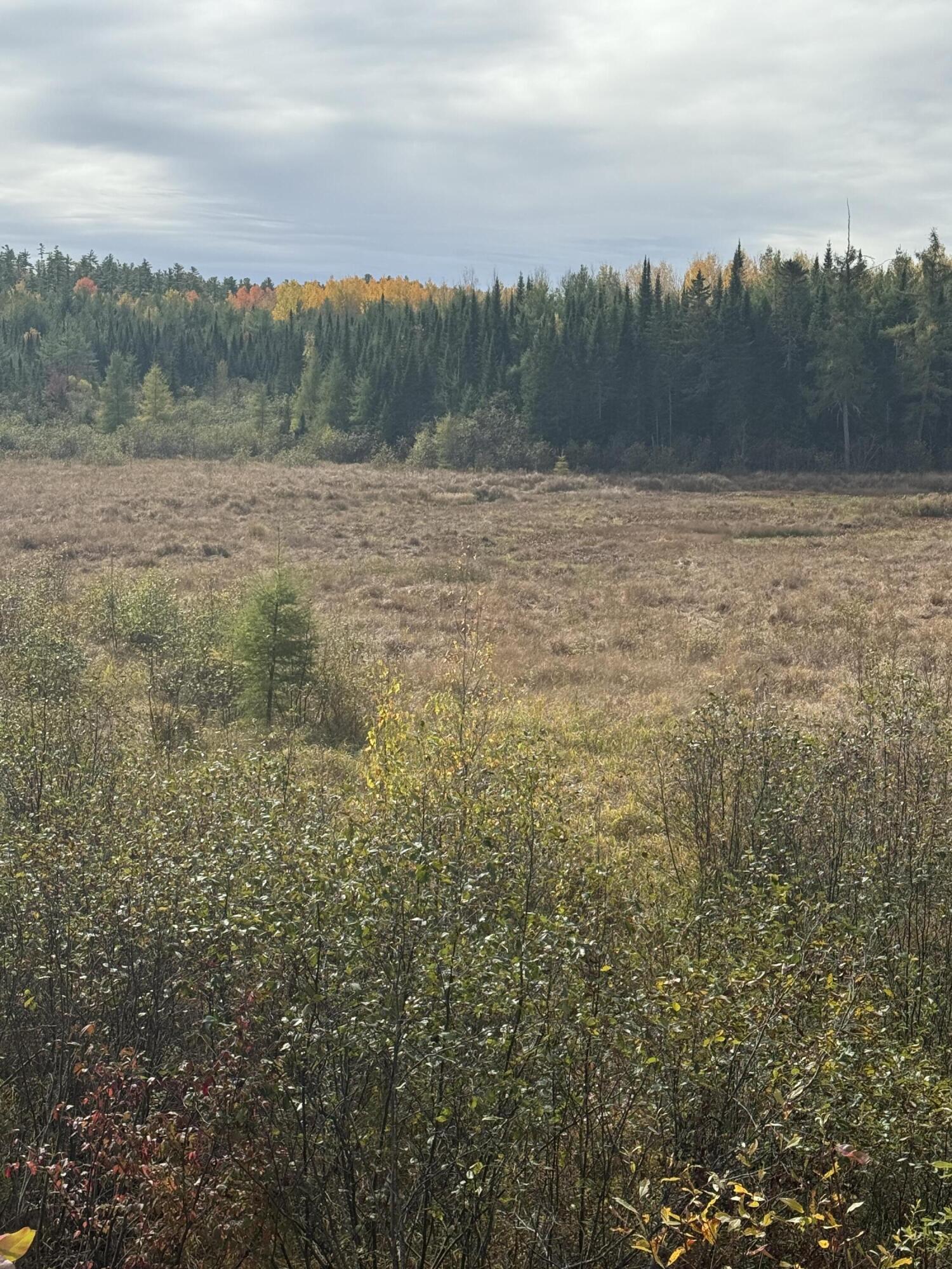 0 Bradbury Brook Road Clifton, ME 04428 - Photo 17 of 37 IMG_1387