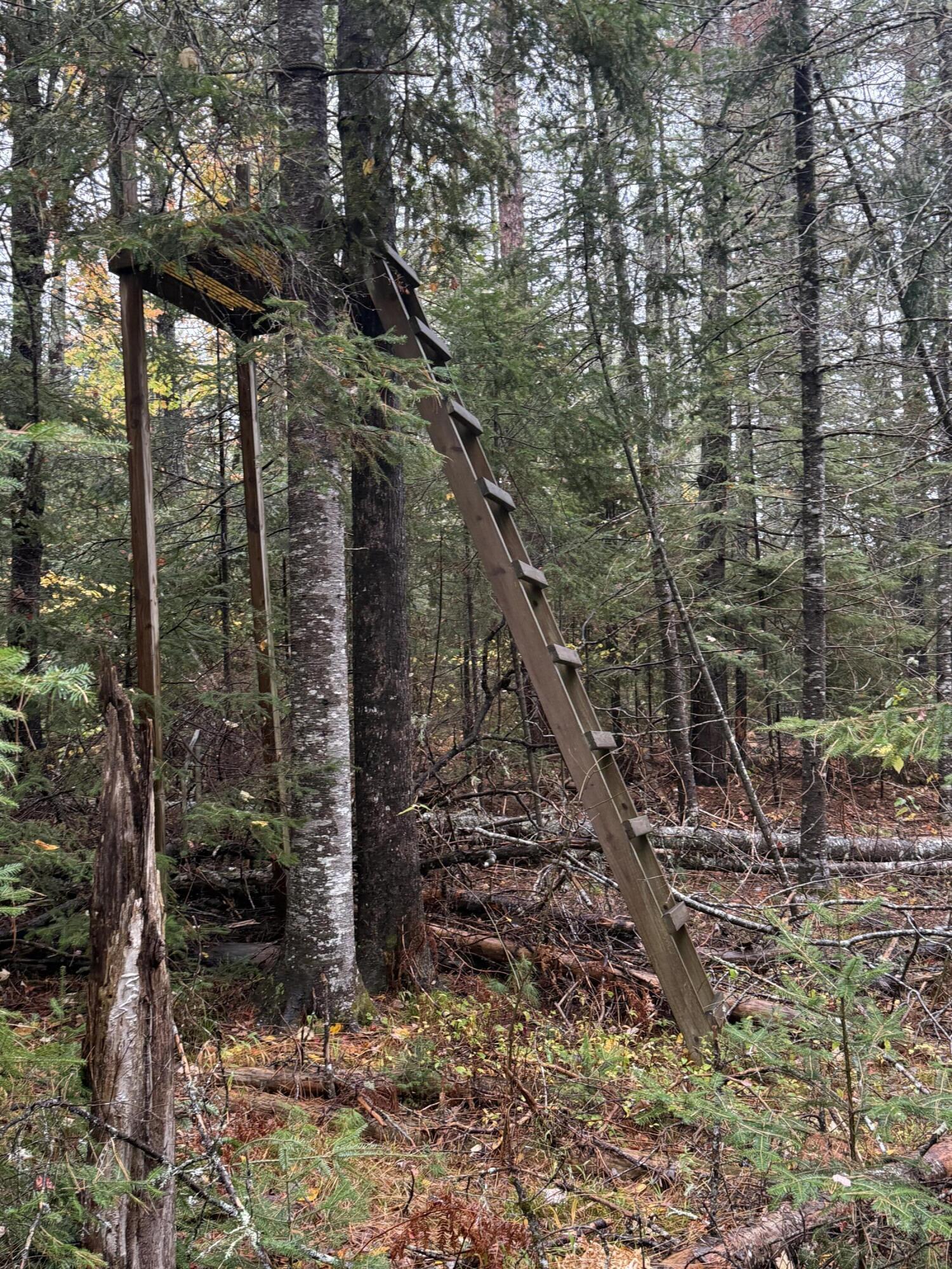 0 Bradbury Brook Road Clifton, ME 04428 - Photo 18 of 37 IMG_1327