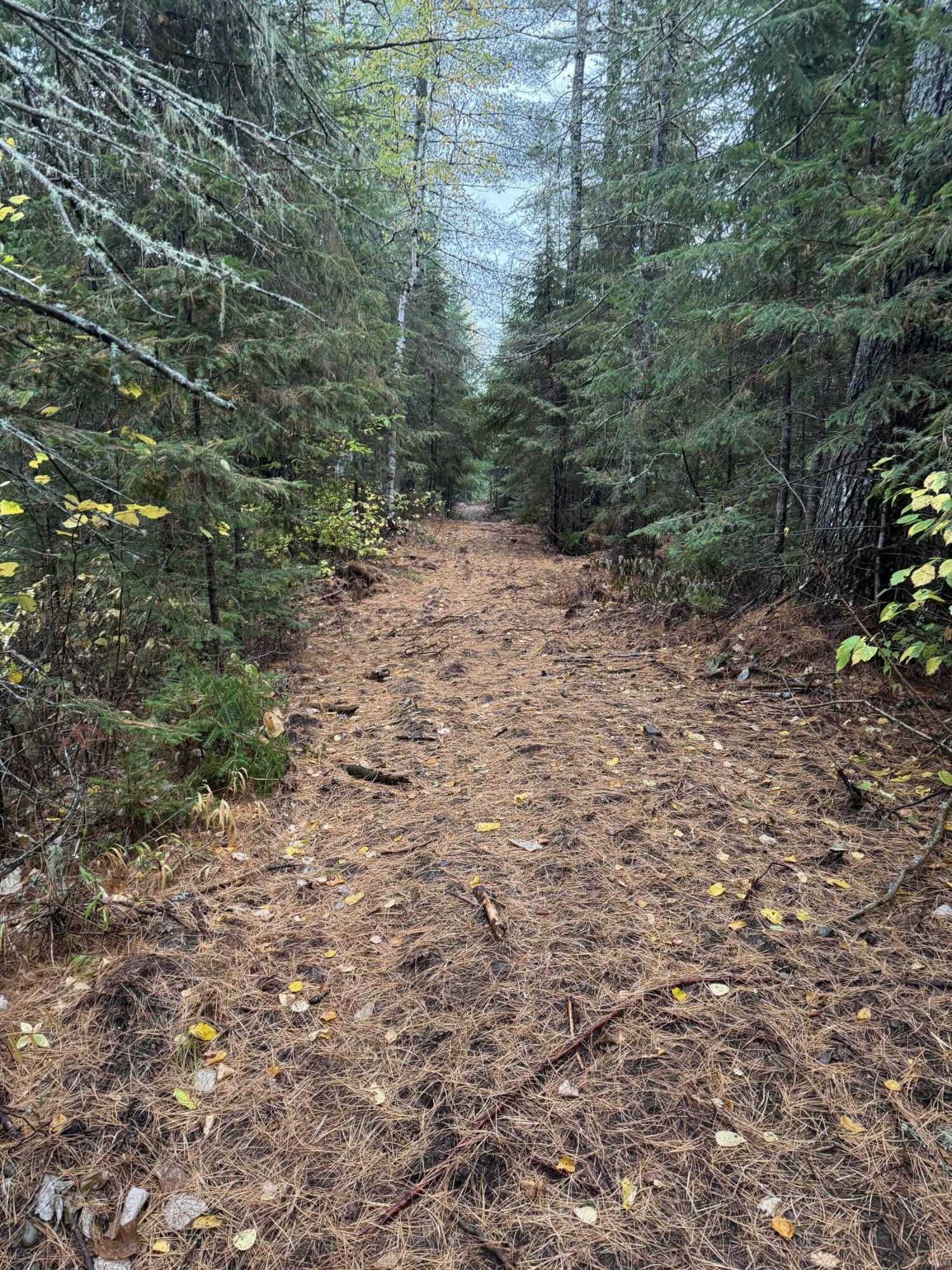 0 Bradbury Brook Road Clifton, ME 04428 - Photo 19 of 37 IMG_1328