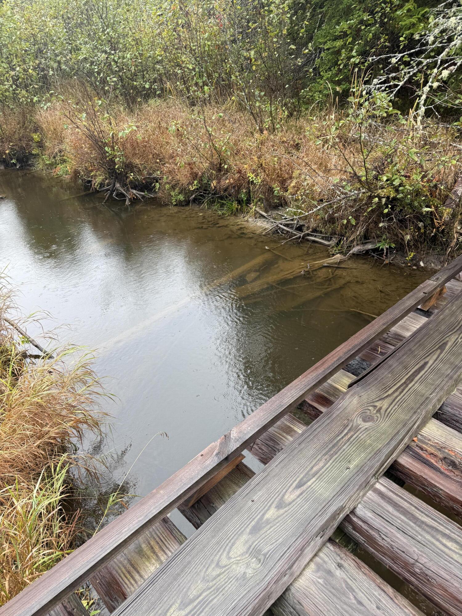 0 Bradbury Brook Road Clifton, ME 04428 - Photo 20 of 37 IMG_1326