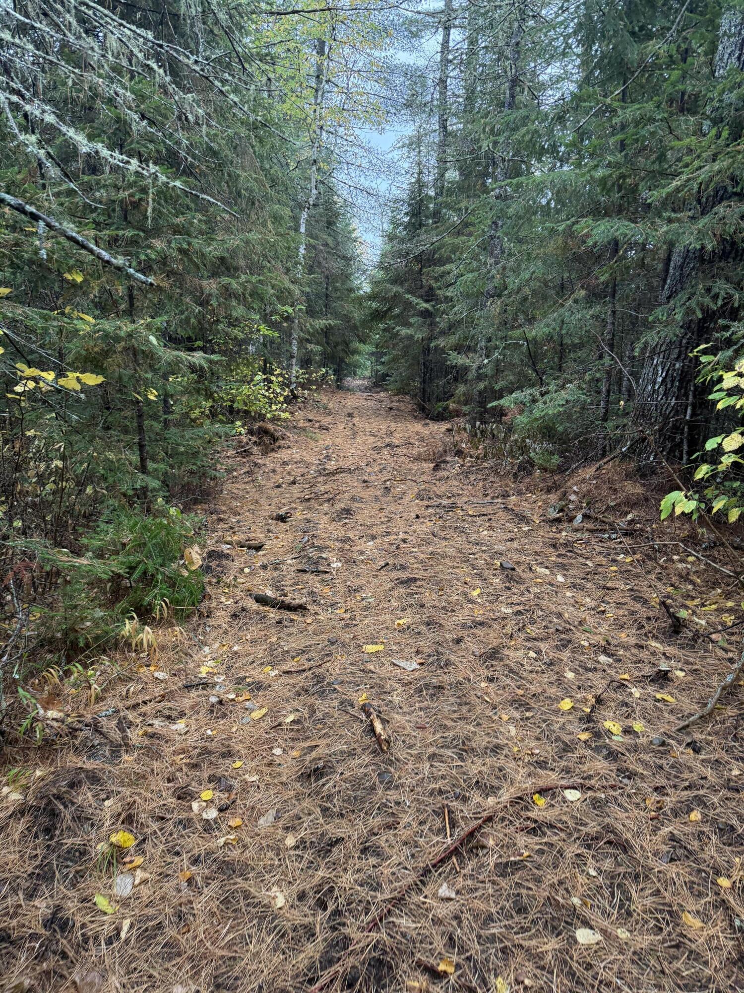 0 Bradbury Brook Road Clifton, ME 04428 - Photo 29 of 37 IMG_1329