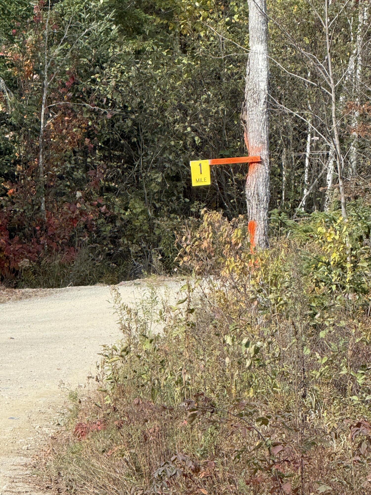 0 Bradbury Brook Road Clifton, ME 04428 - Photo 34 of 37 IMG_1411