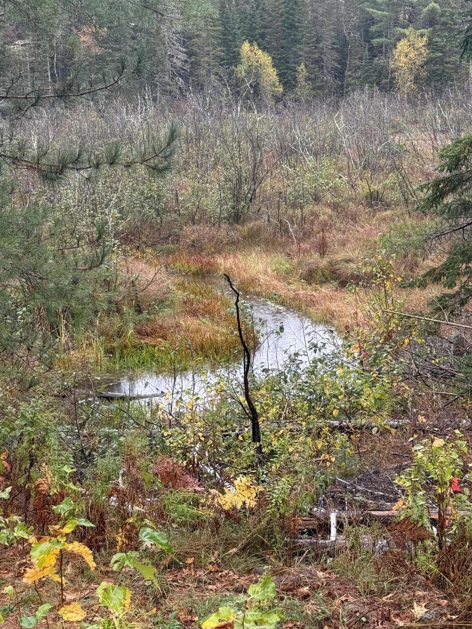0 Bradbury Brook Road Clifton, ME 04428 - Photo 8 of 37 IMG_1323