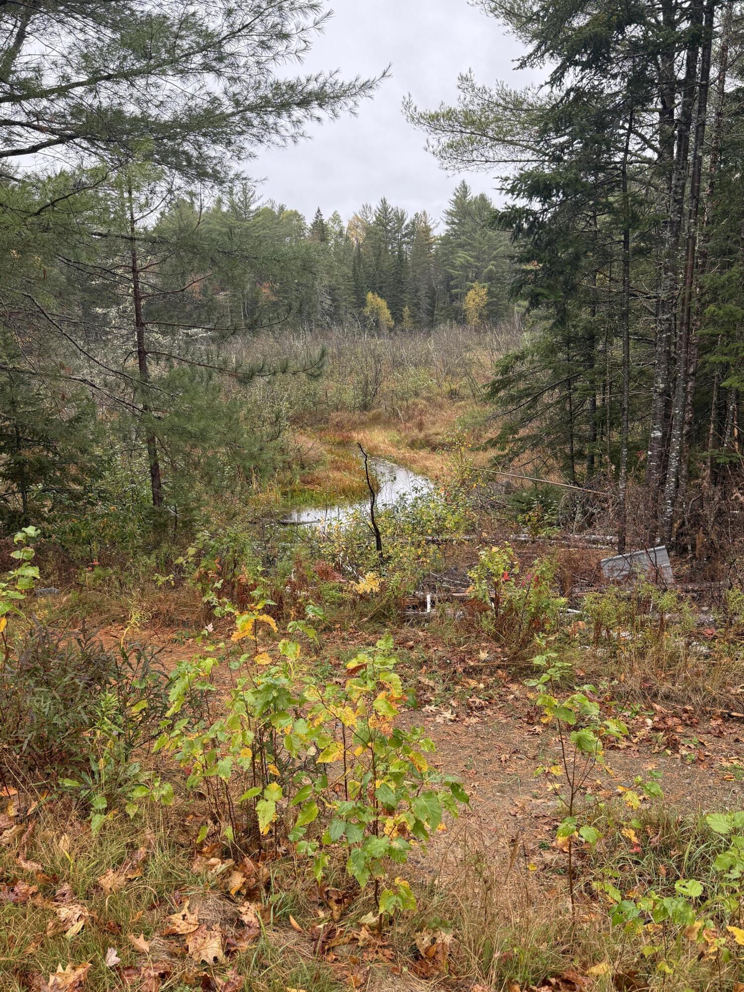 0 Bradbury Brook Road Clifton, ME 04428 - Photo 9 of 37 IMG_1322