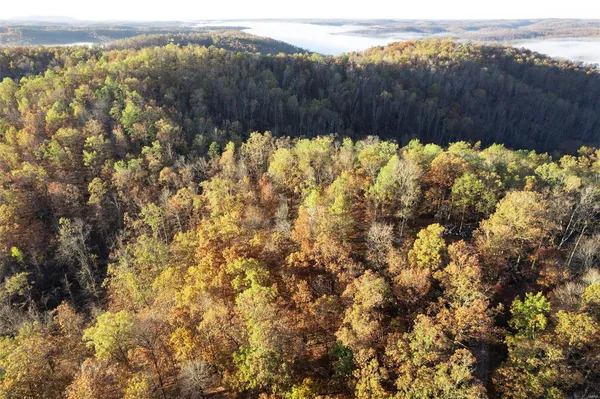$113,850 | 0 County Road 336, Annapolis, MO 63620