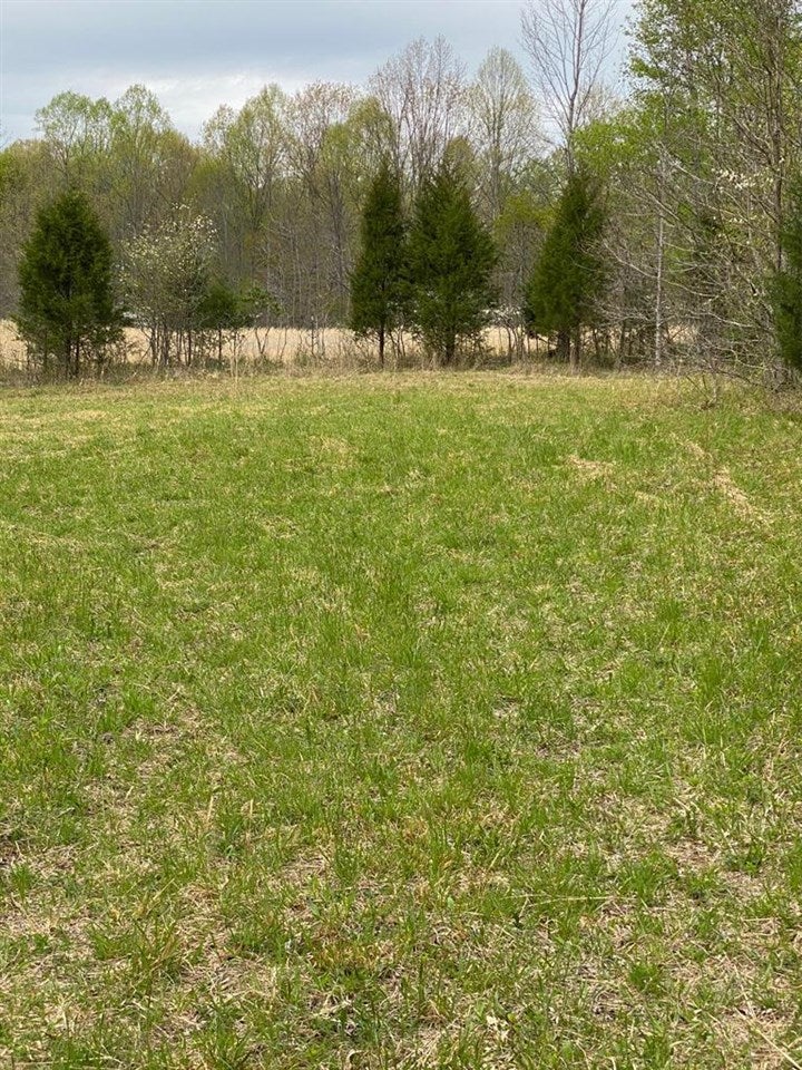 50-ac 50-ac Anderson Road Breeding, KY 42715 - Photo 19 of 24 Gallery Image 19