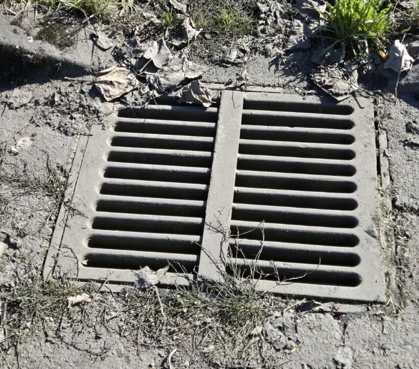 418 3rd Street Southwest Auburn, WA 98001 - Photo 5 of 7