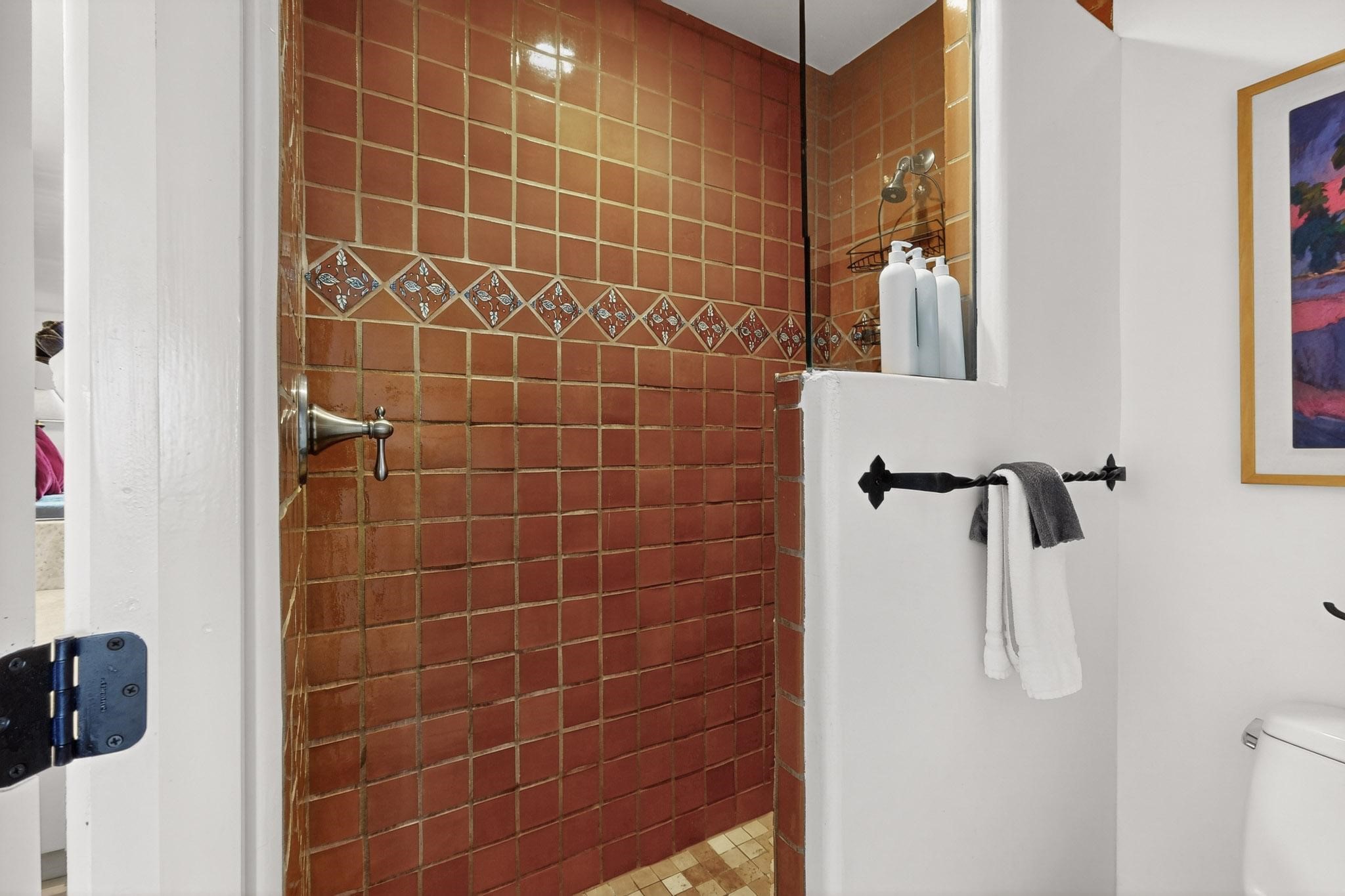 320 Artist Road, Unit 14 Santa Fe, NM 87501 - Photo 25 of 37 Main Bathroom