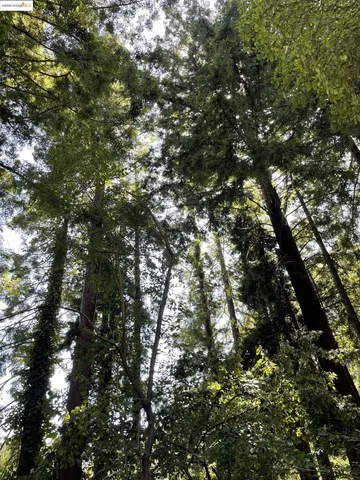 $650,000 | 962 Regal Road, Berkeley, CA 94708