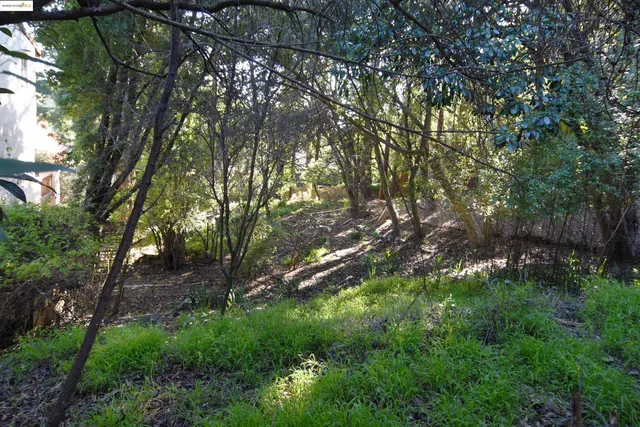 a backyard of a house with lots of green space