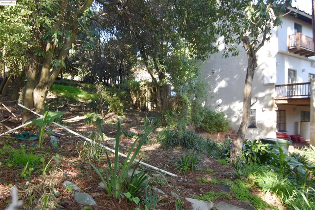 a backyard of a house with lots of green space and garden