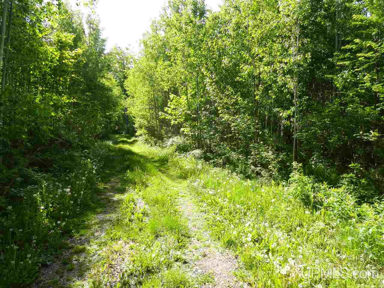 7202 Elm Road Republic, MI 49879 - Photo 17 of 36