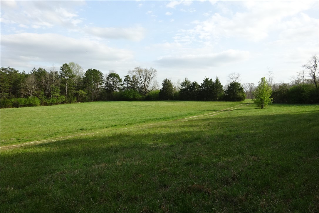 918 Wilson Road Central, SC 29630 - Photo 11 of 40