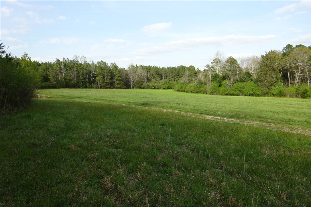 918 Wilson Road Central, SC 29630 - Photo 12 of 40