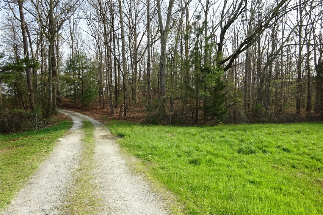 918 Wilson Road Central, SC 29630 - Photo 14 of 40