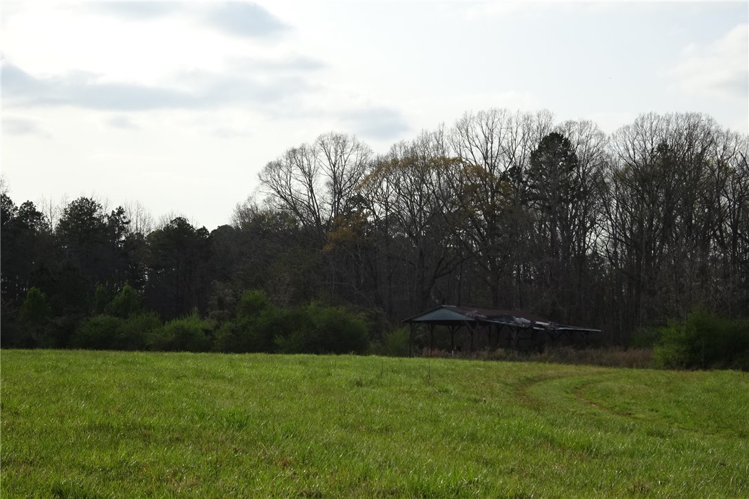 918 Wilson Road Central, SC 29630 - Photo 8 of 40