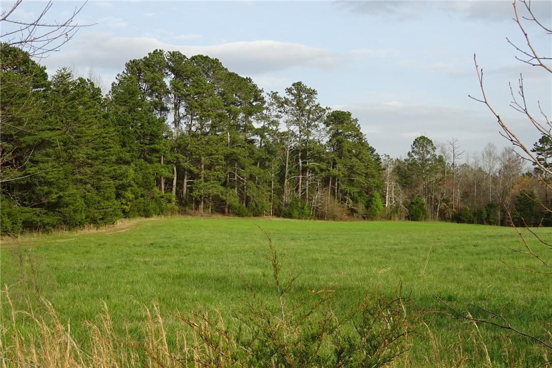 918 Wilson Road Central, SC 29630 - Photo 10 of 40