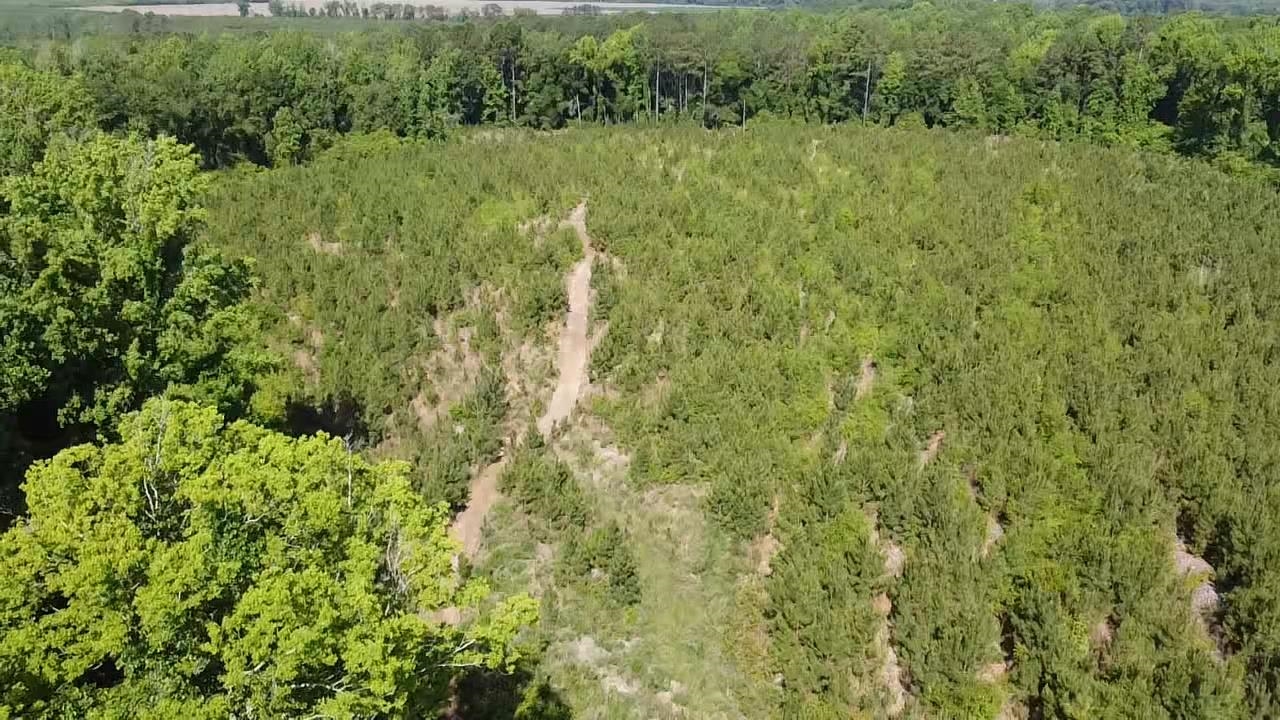 Lot 3 Attadale Road Blenheim, SC 29516 - Photo 3 of 7