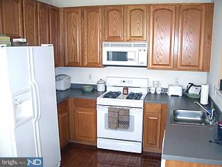 50 Threadleaf Terrace Burlington, NJ 08016 - Photo 3 of 6