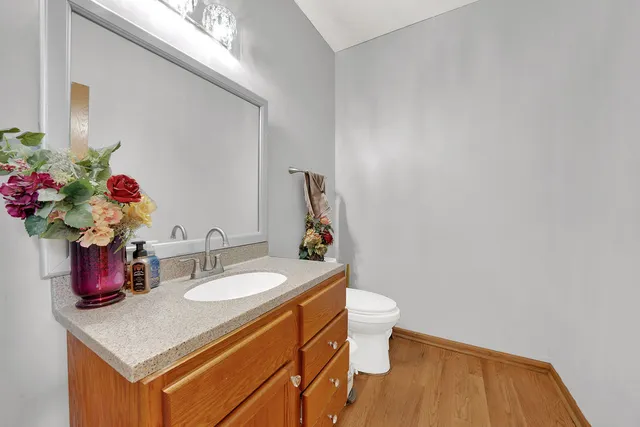 a bathroom with a sink a toilet and vanity